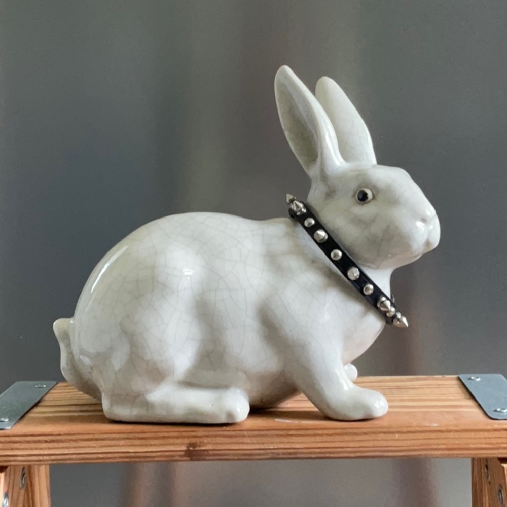 Leather Metal Stud Cat/Small Dog Collar